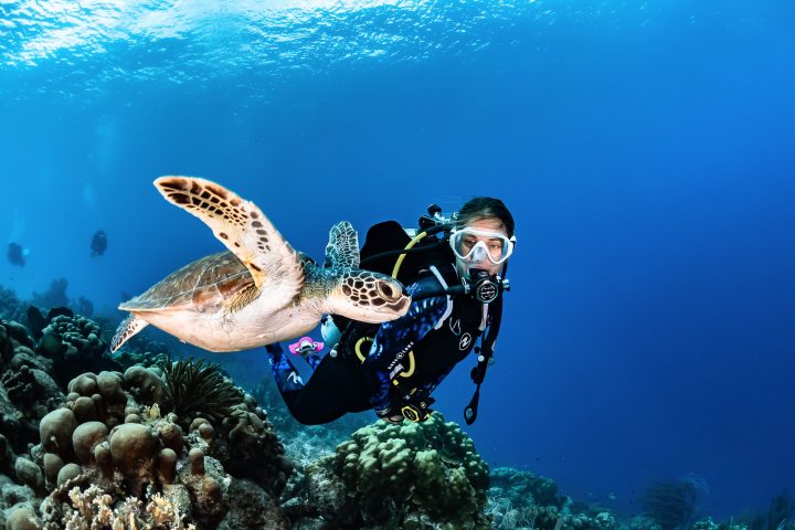 PADI Sea Turtle Awareness Course