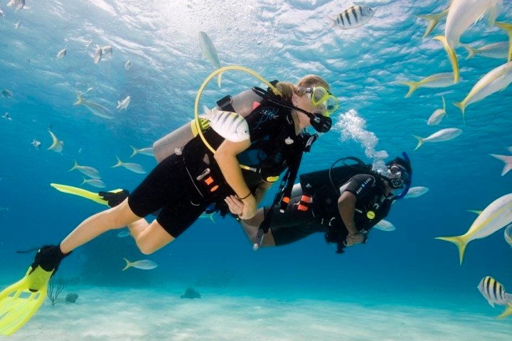 a group of people swimming in a body of water